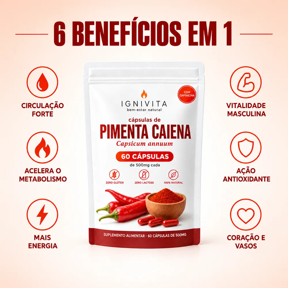 6 benefícios em 1